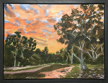 Load image into Gallery viewer, Outback sunset valley