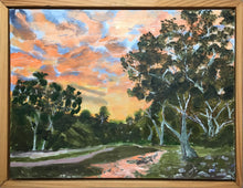 Load image into Gallery viewer, Outback sunset valley