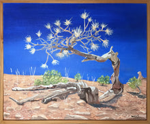 Load image into Gallery viewer, Outback landscape