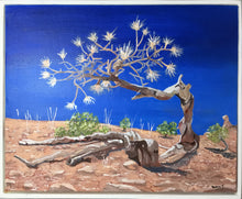 Load image into Gallery viewer, Outback landscape