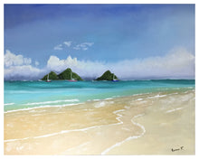 Load image into Gallery viewer, Size: Width: 20" (51cms) Height: 16" (40.5cm)