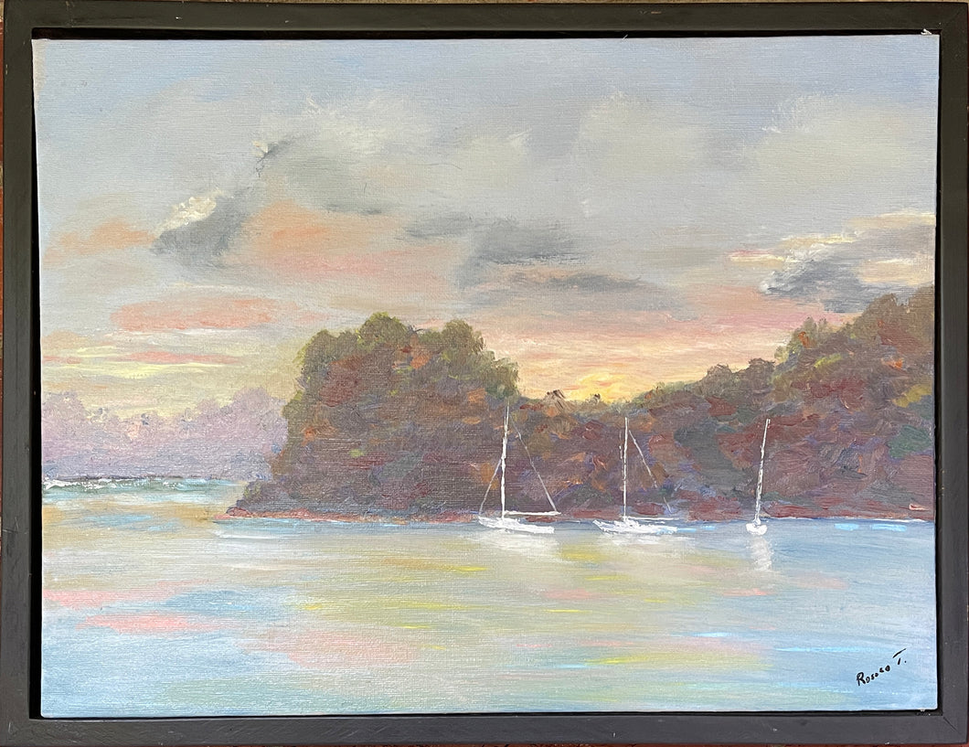 2025 Yachts on Noosa River Queensland inspired by Rod Moore