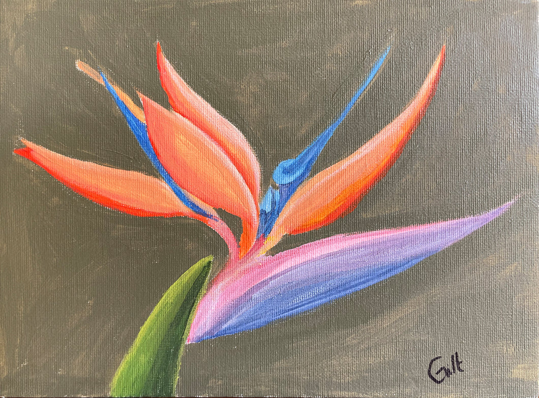 Bird-of-paradise flower