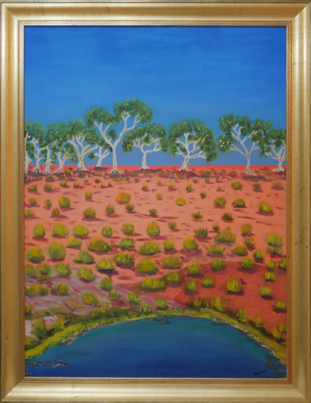 Spinifex Australian landscape